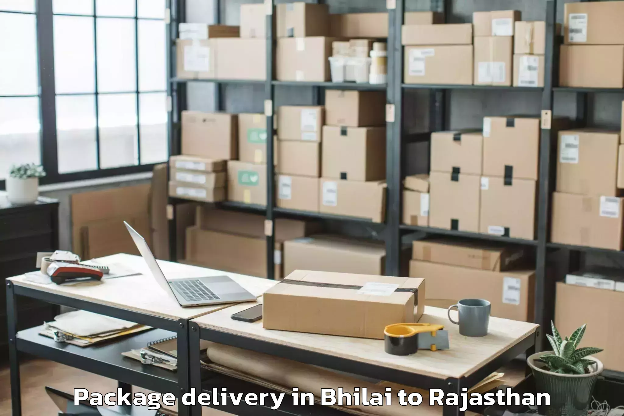 Bhilai to Mewar University Chittorgarh Package Delivery